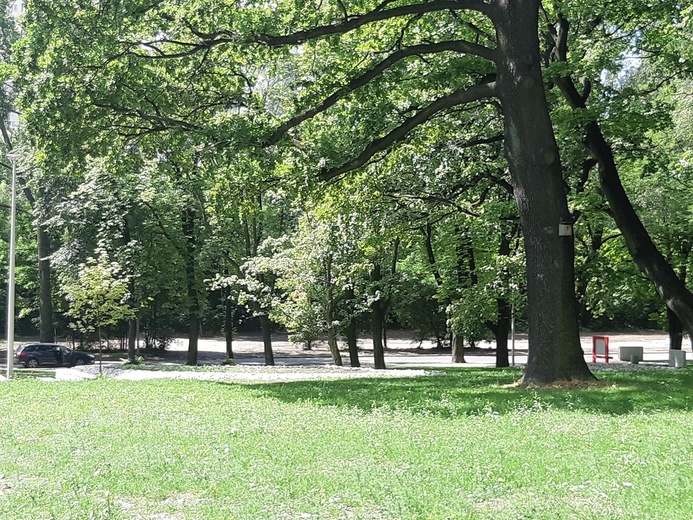 Park Bogucki w Katowicach dostał drugie życie