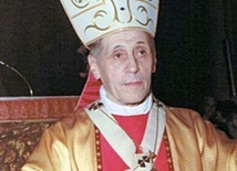 Proces beatyfikacyjny bp. Giovanniego Ferro rozpoczął się w 1997 r. W lipcu br. papież Franciszek podpisał dekret uznający heroiczność jego cnót.