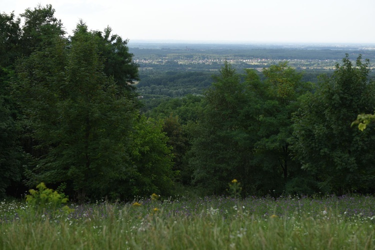 Pielgrzymka do św. Anny na Bocheniec