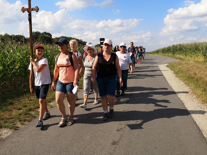 Piesza pielgrzymka do Świętych Schodów