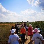 Piesza pielgrzymka do Świętych Schodów