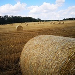 Piesza pielgrzymka do Świętych Schodów