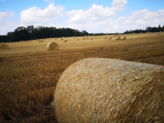 Piesza pielgrzymka do Świętych Schodów