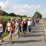 Piesza pielgrzymka do Świętych Schodów