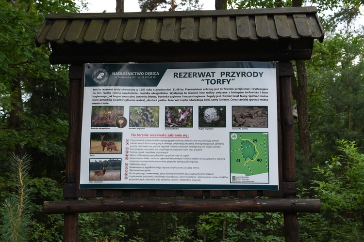 Głowaczowa na wakacje