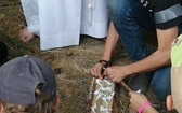 Obóz Skautów Króla   