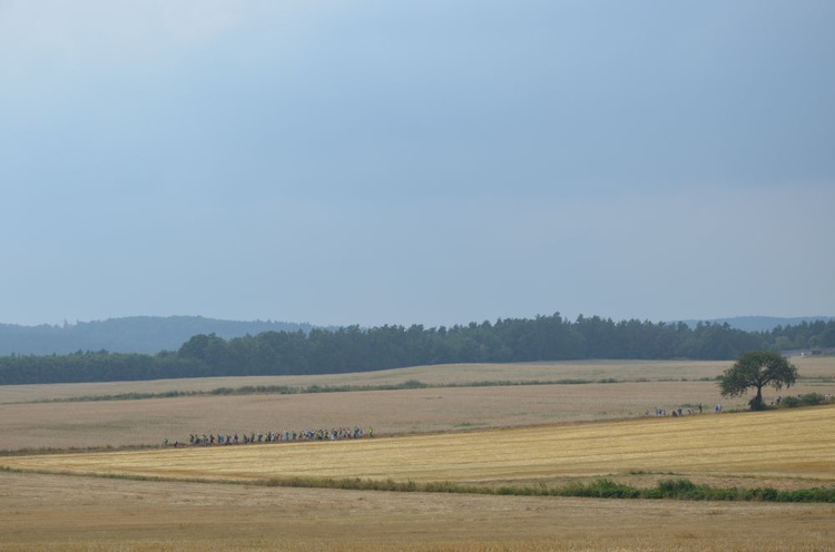 Dzień 1. PPDŚ: Świdnica-Pieszyce (cz. 2)