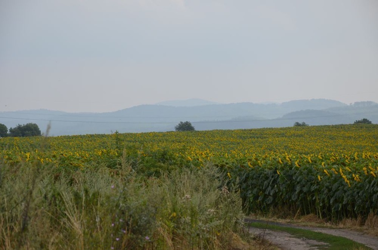 Dzień 1. PPDŚ: Świdnica-Pieszyce (cz. 2)