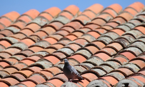 Hiszpania: Obraduje Powszechny Parlament Młodzieży nt. pokoju