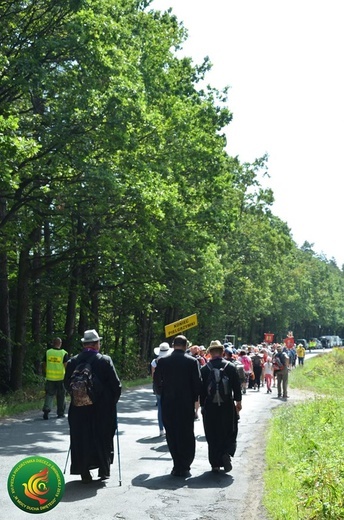 Dzień 2. PPDŚ: Pieszyce-Zwrócona (cz. 2)