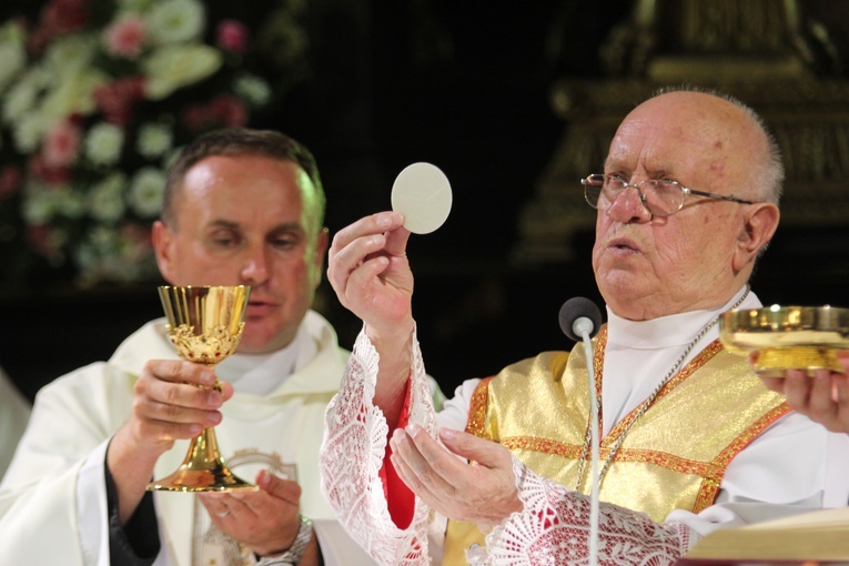 Pielgrzymka do Miedniewic