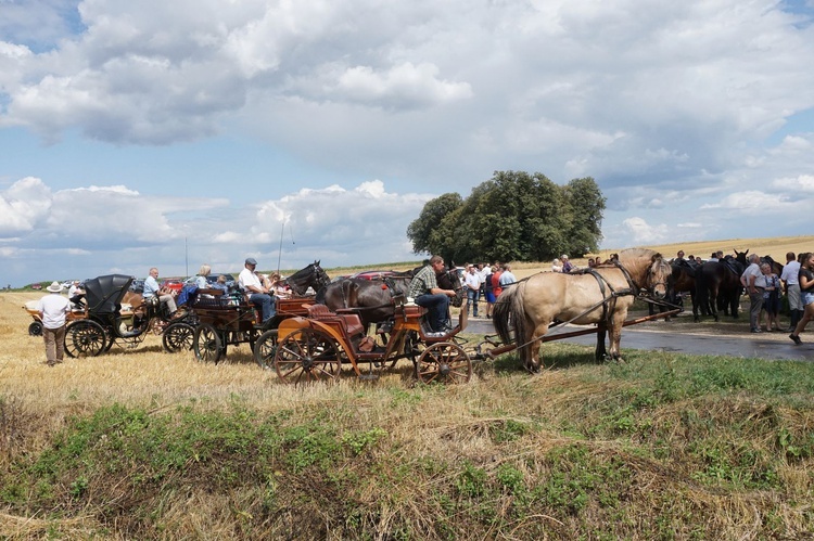 10. Pielgrzymka konna do Goja