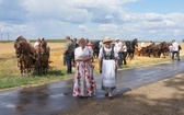 10. Pielgrzymka konna do Goja