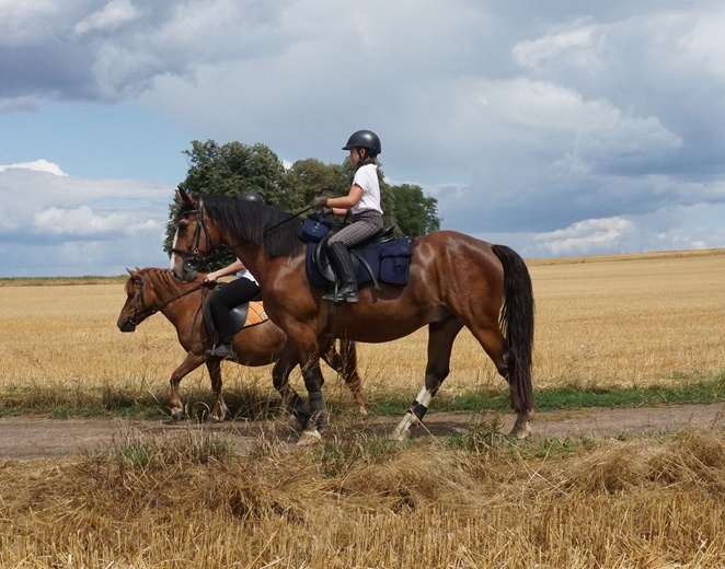 10. Pielgrzymka konna do Goja
