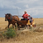 10. Pielgrzymka konna do Goja