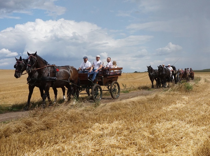 10. Pielgrzymka konna do Goja