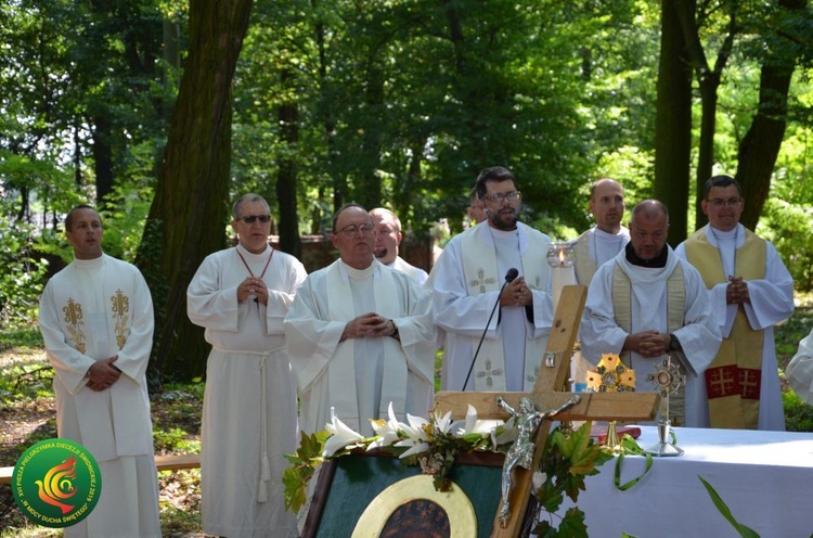 Dzień 5. PPDŚ: Radoszowice-Popielów