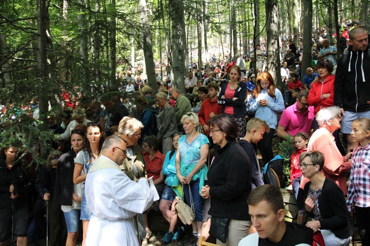 Trzonka 2019 - u Matki Bożej Śnieżnej