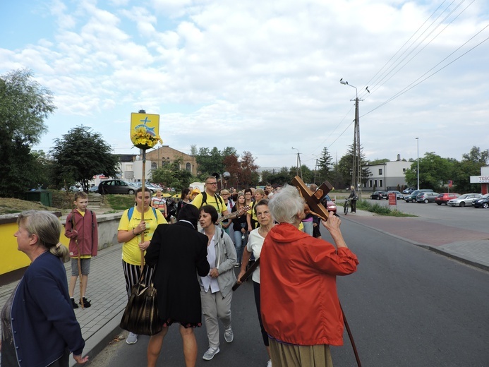 Grupa cytrynowa na szlaku XXIV ŁPPM