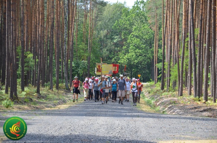 Dzień 7. PPDŚ: Laskowice - Łomnica, 6.08.2019