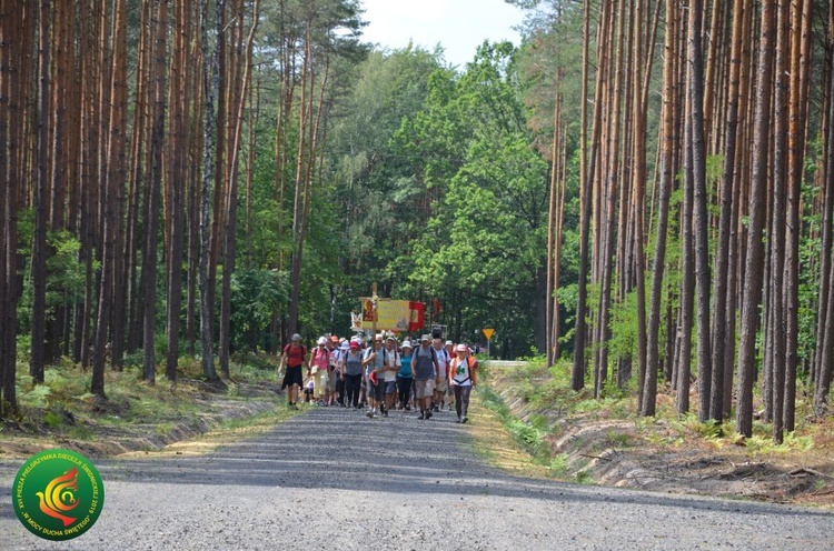 Dzień 7. PPDŚ: Laskowice - Łomnica, 6.08.2019