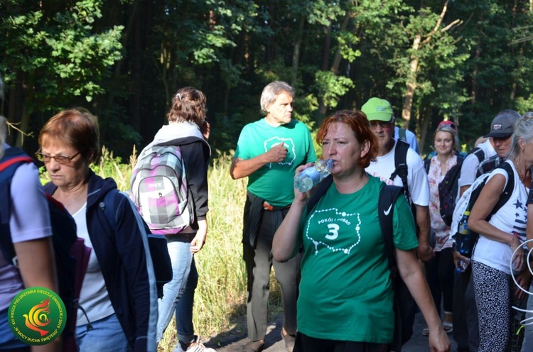 Dzień 7. PPDŚ: Laskowice - Łomnica, 6.08.2019