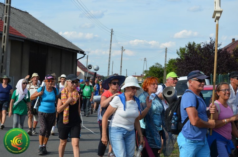 Dzień 6. PPDŚ: Popielów - Laskowice, 5.08.2019
