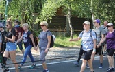 28. pielgrzymka diecezjalna wyrusza z Hałcnowa na Jasną Górę - 2019
