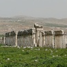 Apamea