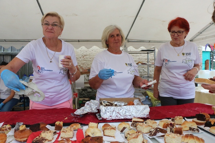 Dolnośląskie Święto Rodzin w Gniechowicach