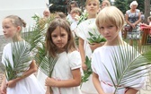 Dolnośląskie Święto Rodzin w Gniechowicach