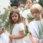 Dolnośląskie Święto Rodzin w Gniechowicach