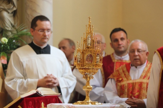 Dolnośląskie Święto Rodzin w Gniechowicach