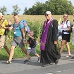 28. Pielgrzymka Cieszyńska 2019 na trasie - w Bziu Zameckim