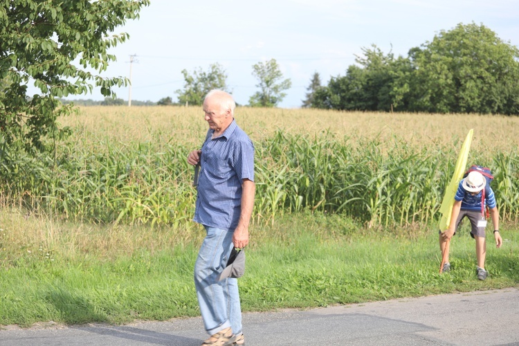 28. Pielgrzymka Cieszyńska 2019 na trasie - w Bziu Zameckim