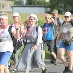 28. Pielgrzymka Cieszyńska 2019 na trasie - w Bziu Zameckim