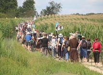 ▲	Pielgrzymowanie to również możliwość podziwiania  Bożego stworzenia.