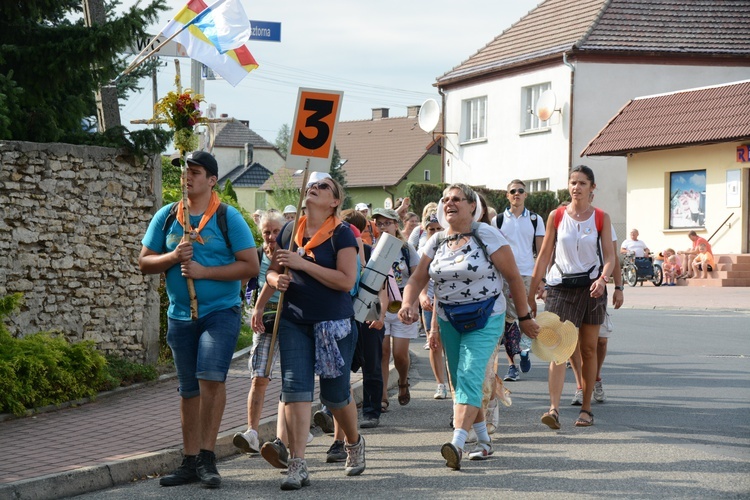 Strumień opolski w Kamieniu Śląskim