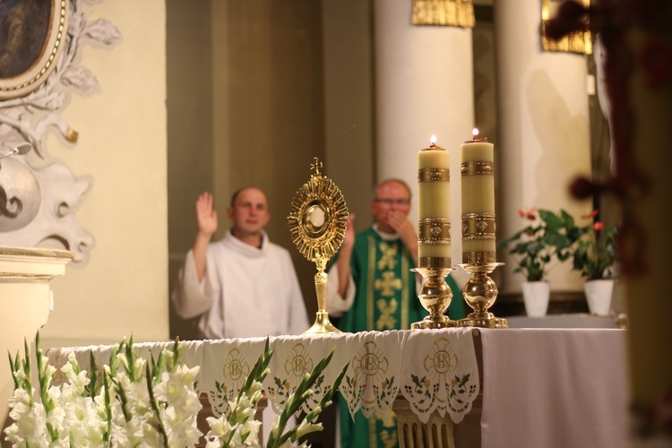 IV Pielgrzymka Ewangelizacyjna z Pabianic do Niepokalanowa