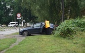 Grupa pomarańczowa z Kuźni Raciborskiej