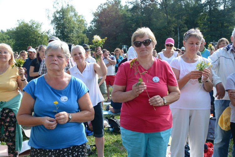 Poranek na polanie w Pietraszowie