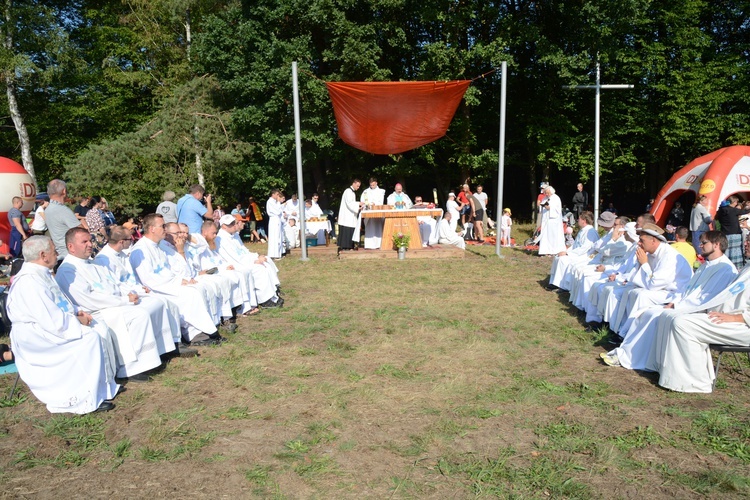 Poranek na polanie w Pietraszowie