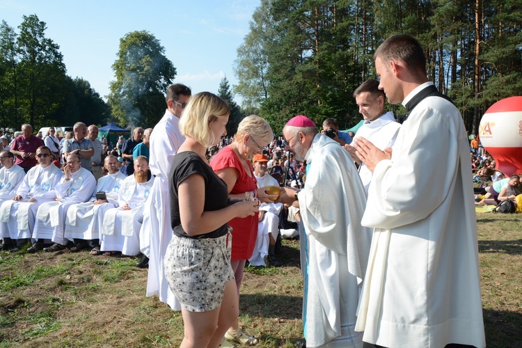 Poranek na polanie w Pietraszowie