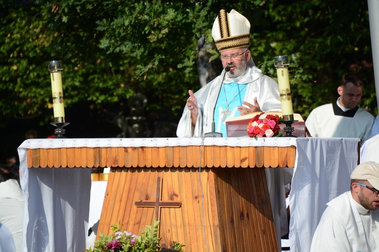 Poranek na polanie w Pietraszowie