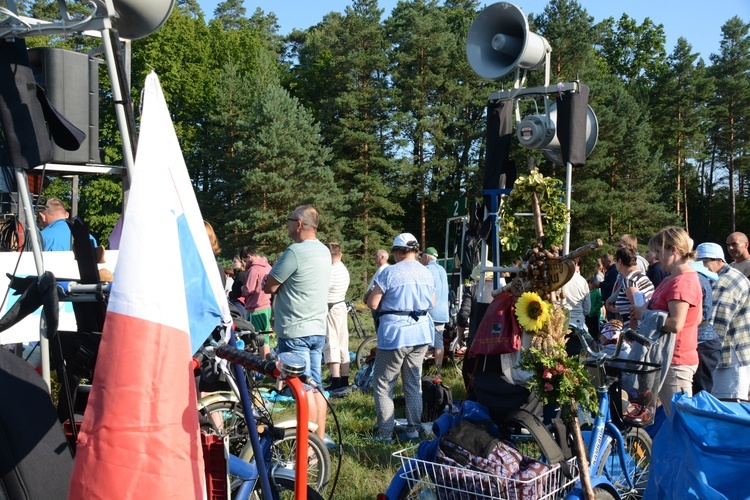 Poranek na polanie w Pietraszowie