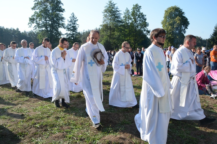 Poranek na polanie w Pietraszowie