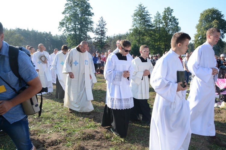 Poranek na polanie w Pietraszowie