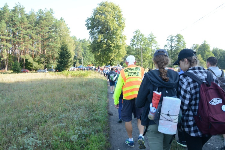 Poranek na polanie w Pietraszowie