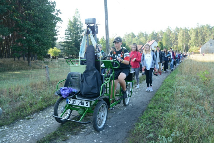 Poranek na polanie w Pietraszowie