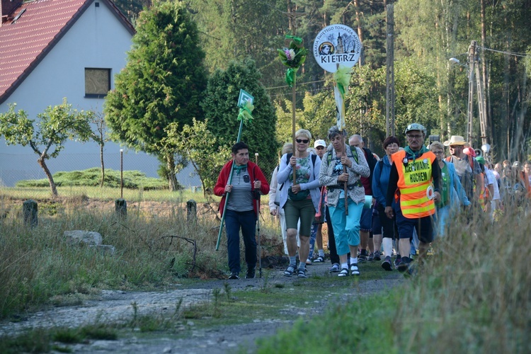 Poranek na polanie w Pietraszowie